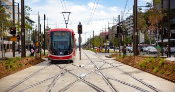 Days after launch, light rail vehicle 'reboots' on tracks after stalling