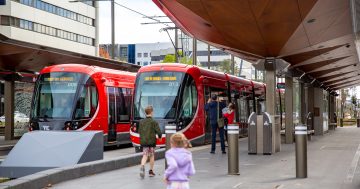 Canberra Metro fines 386 passengers for fare evasion on light rail