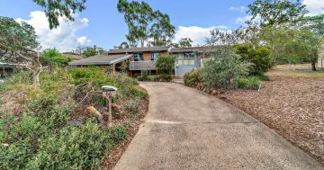 A great, big, suburban gem to treasure in Aranda