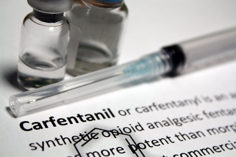 Carfentanil - potent enough to sedate an elephant. File photo. 