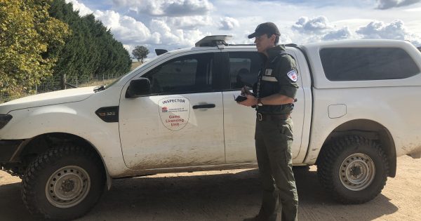 Illegal hunters busted in Snowy Mountains, generally a positive report card