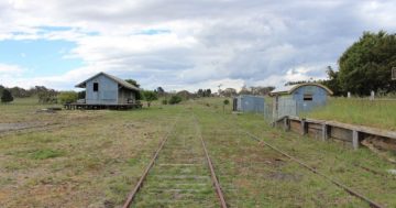 Rail options for Canberra - Monaro - Eden chugg forward