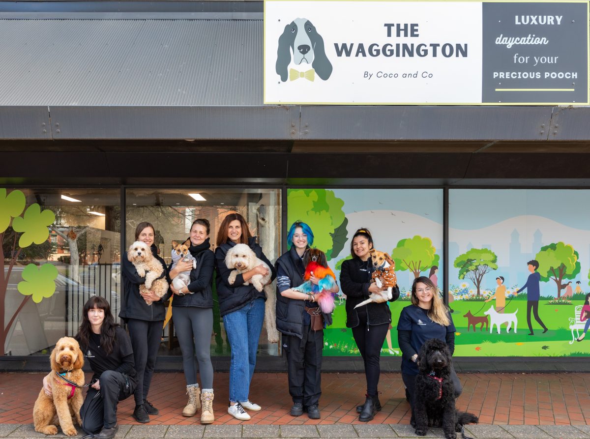 a group of people standing in front of a store with dogs