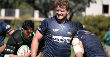 Crusaders pose as perfect chance for Brumbies to ignite season