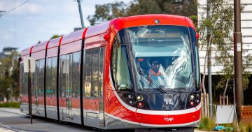 Car collides with light rail vehicle