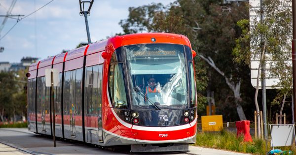 Police seek witnesses after Canberra Metro staff member assaulted on light rail