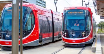 Canberra's on board as light rail passenger numbers already hit 2021 target