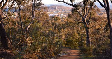 When will we recognise Australia's frontier wars as part of our war history?