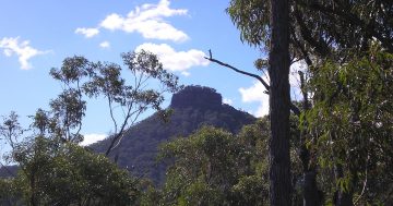 Canberra Day Trips: Pigeon House Mountain (Didthul)