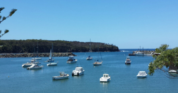 Canberra Day Trips: The harbourside haven of Ulladulla