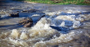 Burst water main floods Sturt Avenue