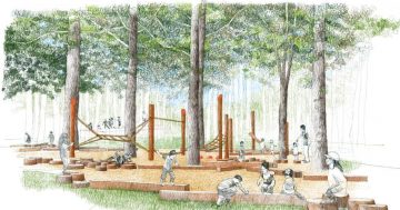 How the nature play space will transform Glebe Park
