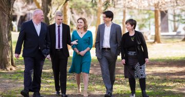The Greens candidates: outside chance or insurgents?