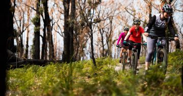 Sunshine, surf and single-tracks - Tathra is set and ready for MTB Enduro this long weekend