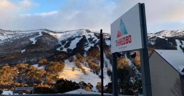 Teen skier dies following crash on Thredbo slopes