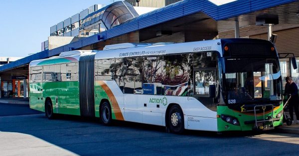 Weekend buses back on track, says Steel