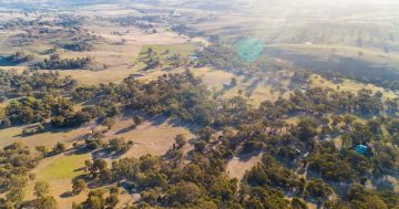 Buy your own landmark hill, home and fine wool operation an hour from Canberra