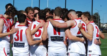 Canberra Demons the latest sporting casualty of COVID-19