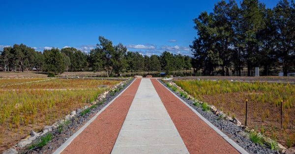 Isabella Plains rain garden completes $93.5m ACT Healthy Waterways project