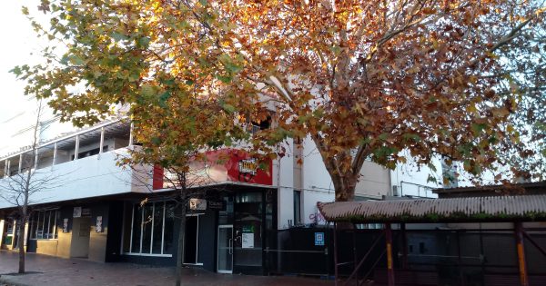 'New dawn' for Manuka as ACAT tree decision paves way for hotel development