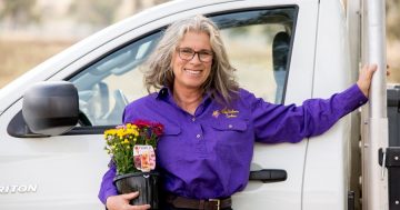 Growing gardens provides a growing business for Canberra woman Suzie Fletcher