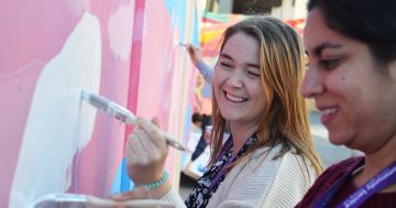 Moruya artist energises Canberra town square with 'Happy Land' mural