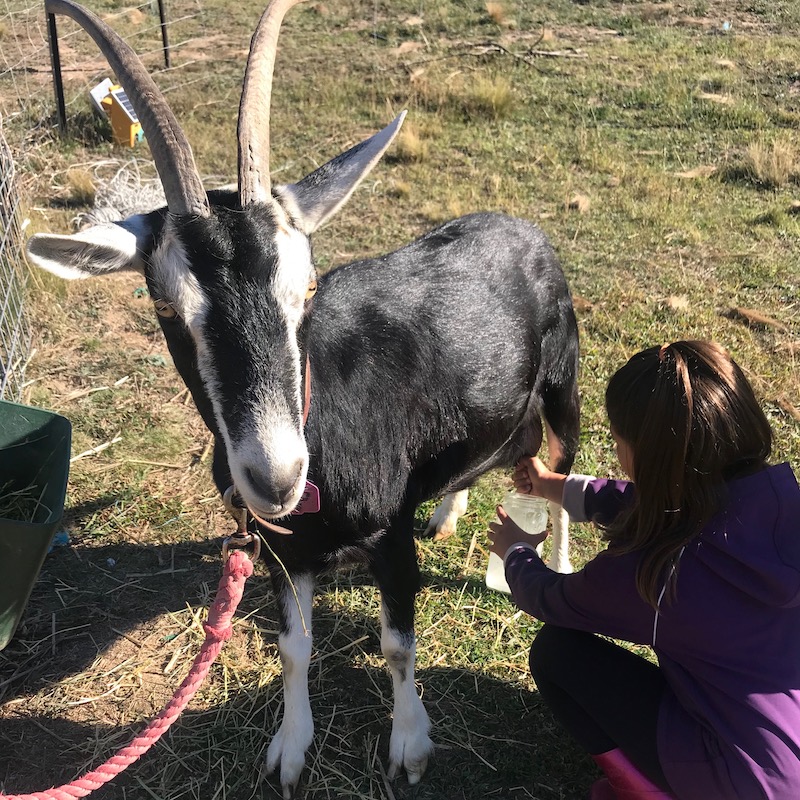 Tatum Hills farm