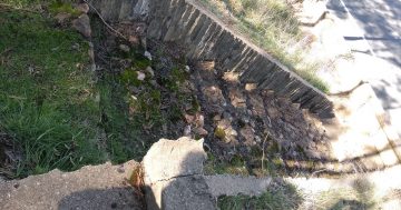 Ask RiotACT: Old Stairs near Parkes Way Black Mountain