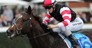 Meet jockey Kayla Nisbet: Canberra’s most resilient athlete