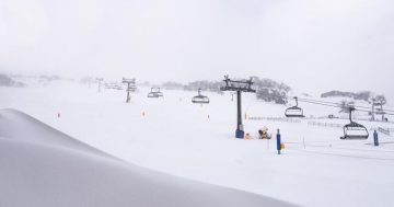 Early snow brings winter's blast to Goulburn, Tablelands