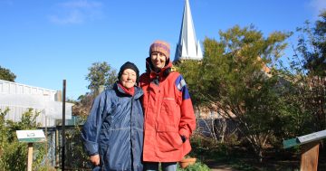 Social connection thrives at Goulburn’s community garden