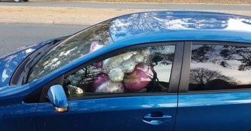 $200 fine for driver with balloons in front seat