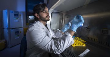 ANU discovery could stop allergic reactions and deadly anaphylaxis