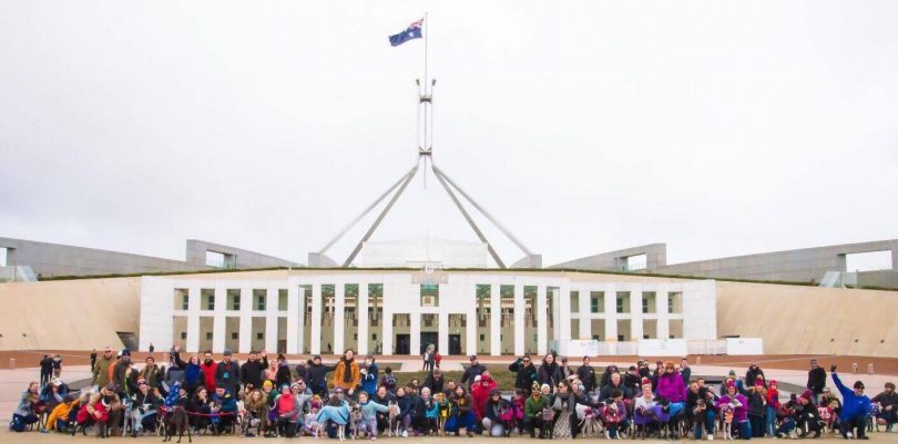 Last year's Global Greyhound Walk in Canberra. Photo: Claridge Photography.. 