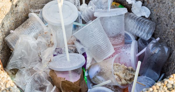 Can Canberra wean itself off single-use plastics?