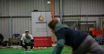 Grening's pitch to diversify baseball in Canberra