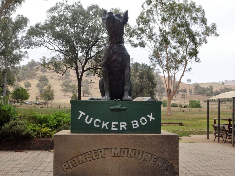 Dog on the Tucker Box