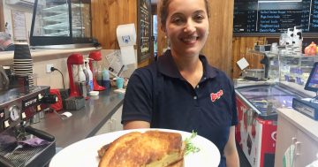 The best cheese toasties in the Bega Valley, memories are made of this!