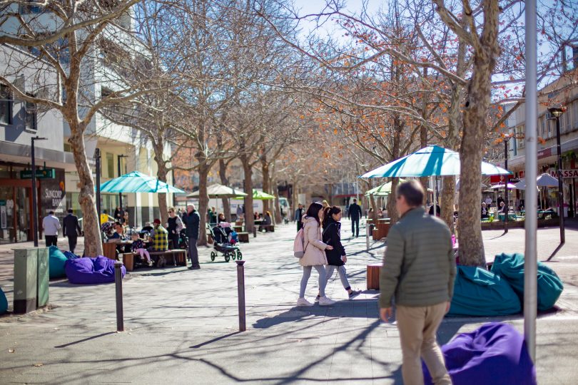  39 new street trees have been planted around the city centre and Braddon