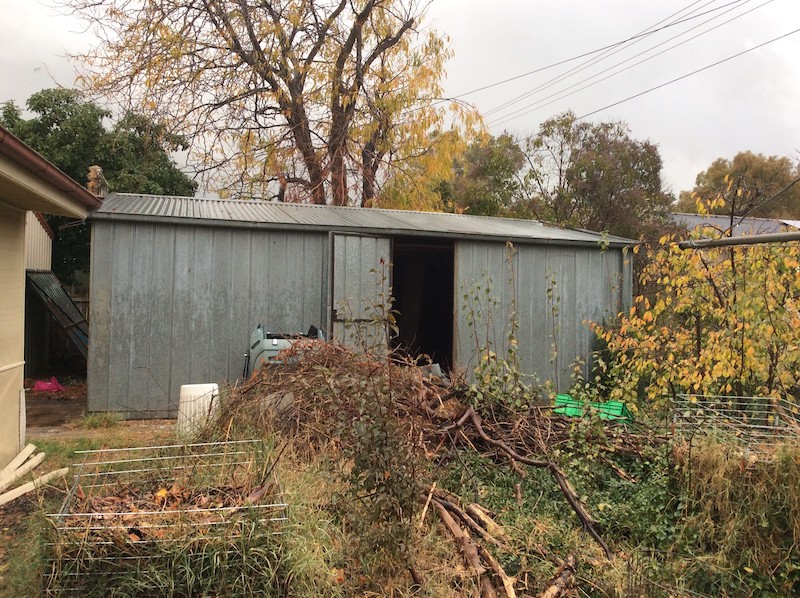 The backyard ‘’jungle’’ at 26 Larakia Street, Waramanga, before Jonny Warren and Fiona Murray arrived.