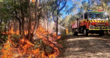 Bega Valley RFS volunteer alleged to have deliberately lit seven fires