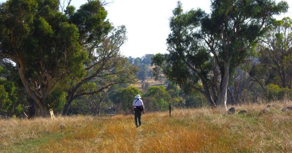 Around the ACT in 20 days: a walk to protect the environment