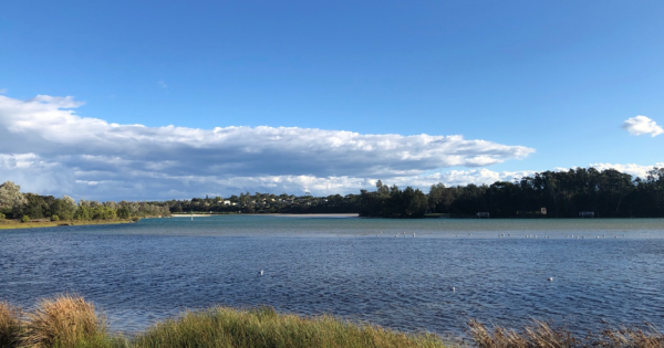 Canberra Day Trips: Beautiful Burrill Lake