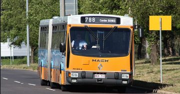 Old buses just the ticket for CIT project funded in City Grants program