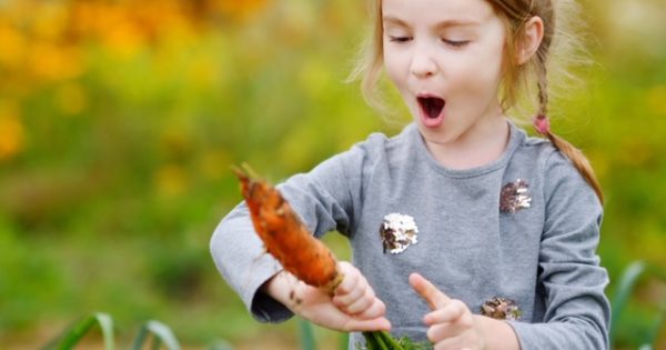 A School Holiday Program with a difference: The Possum Patch