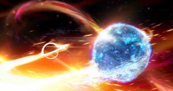 Black hole on a strict diet of neutron stars detected with help from ANU scientists