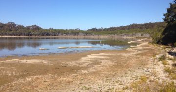 Wallagoot Lake shrinking as the hot days of summer get closer