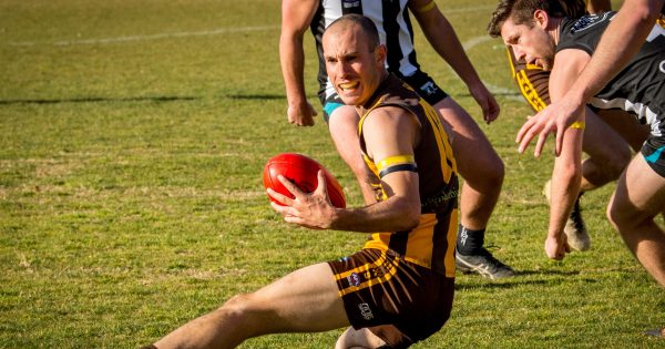 Ben Cleaver ready to celebrate 200th appearance for the Tuggeranong Hawks