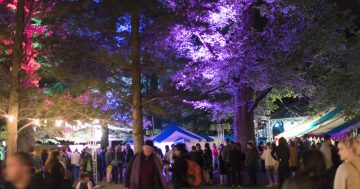 Haig Park festival to welcome spring with light and music