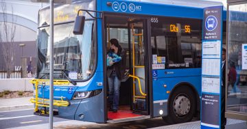 Probing the polls: should we change the weekend bus roster? And how about vegan lunches?